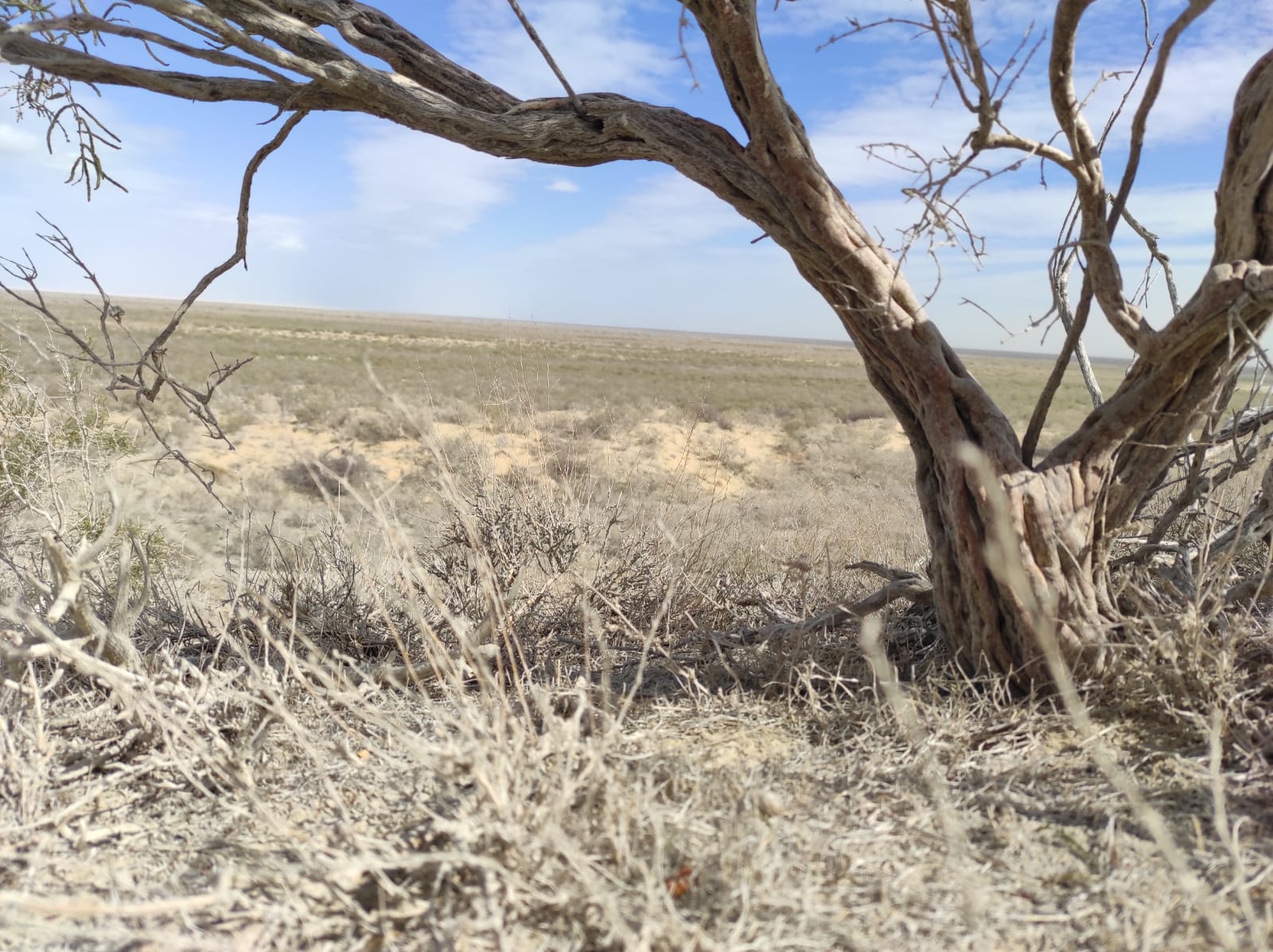 Анасының өз ұлын сиқыған порно видеолары