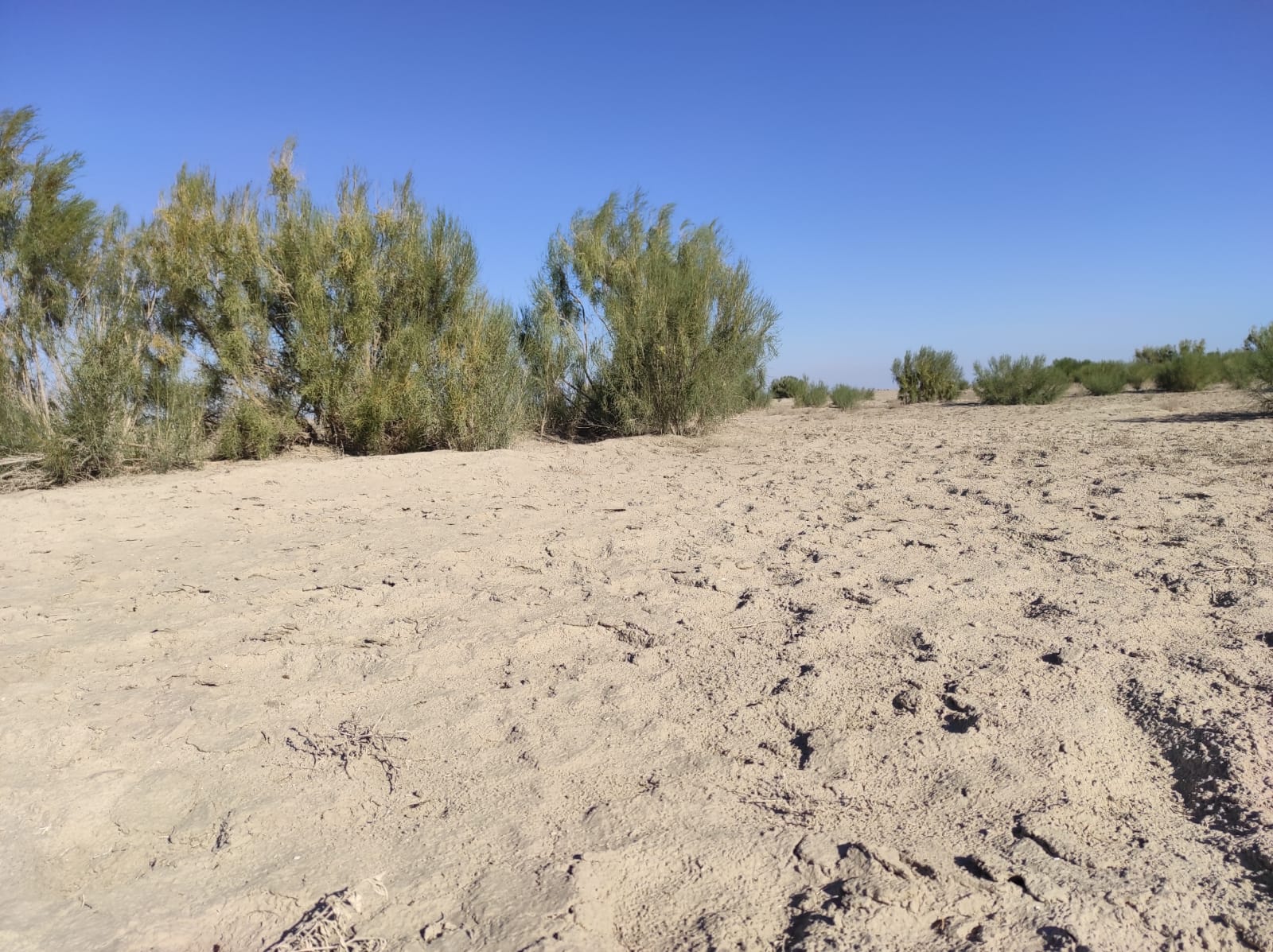 Ірі пландағы сквирт порно