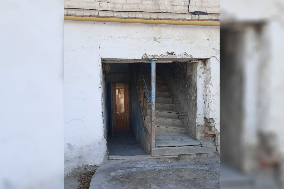 Арыстан патшасының секс комикстері