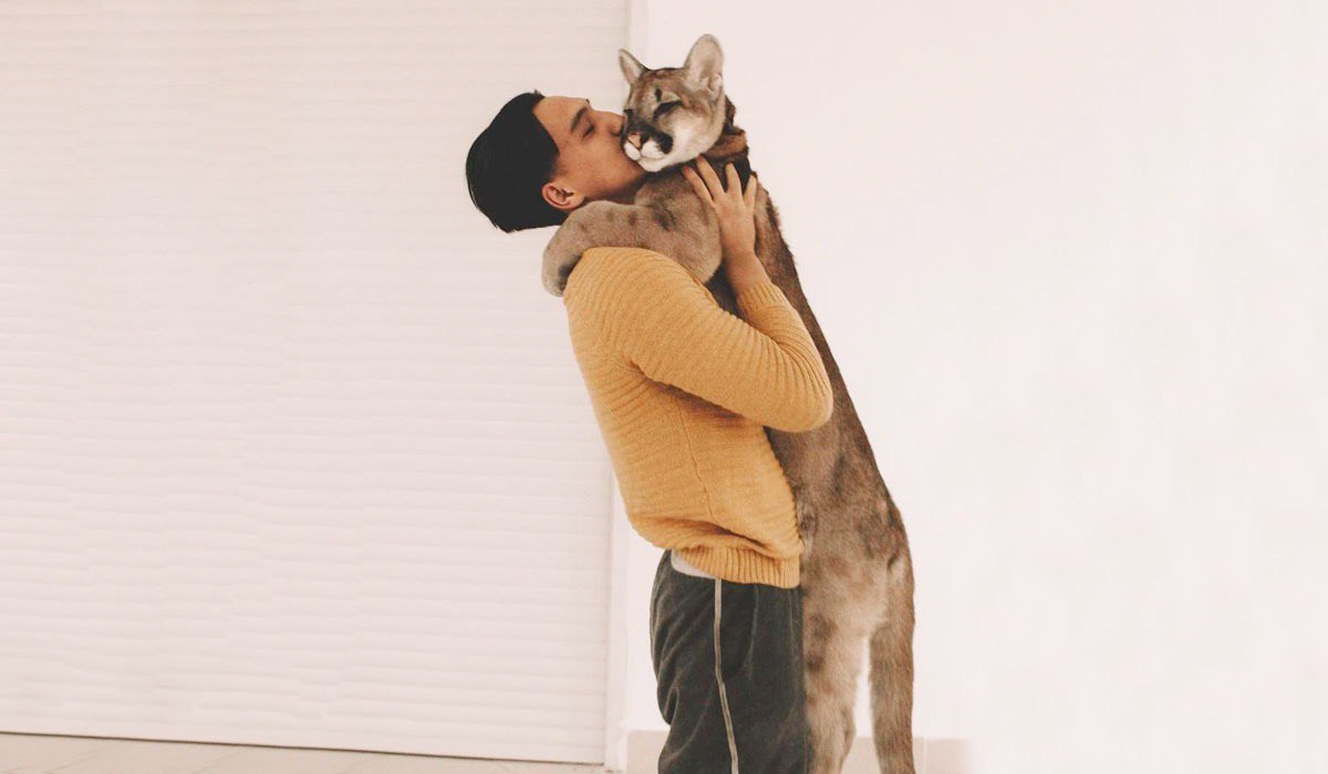 Жалаңаш хатшылар немесе қара колготки киген қыздар