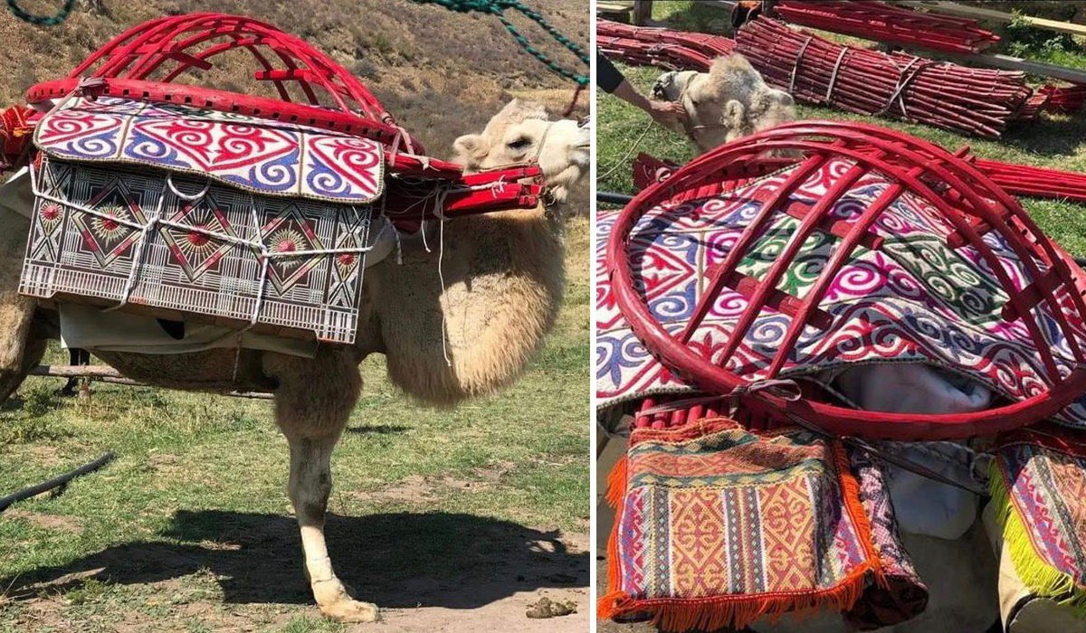 Үлкен бауыздағы балапан порно Опера әншілері ұрық ішеді