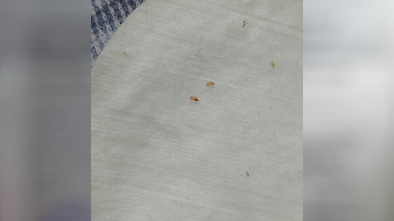 Ең сексуалды порно актриса - Джордж Джонс.