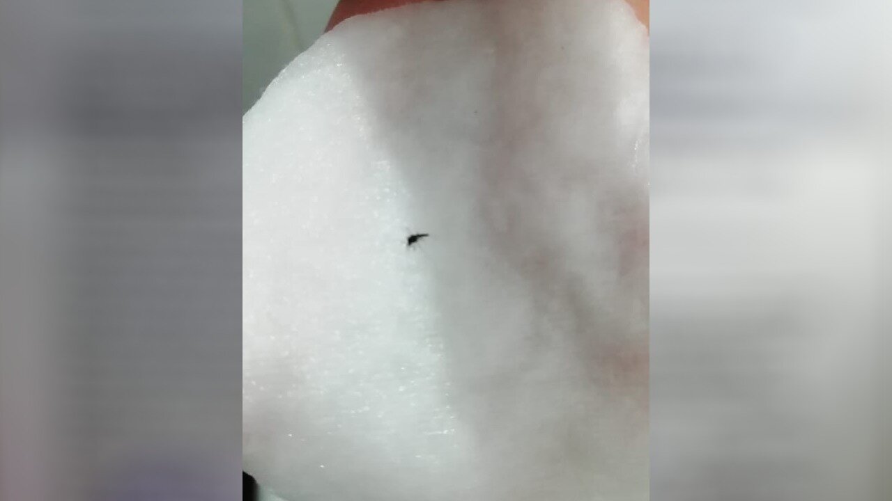 Порно жұлдыздар топ жарды