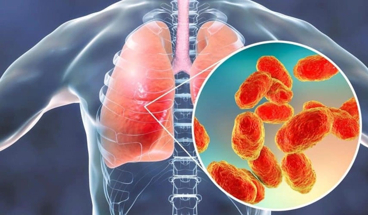 Шырынды шоколад бар порно