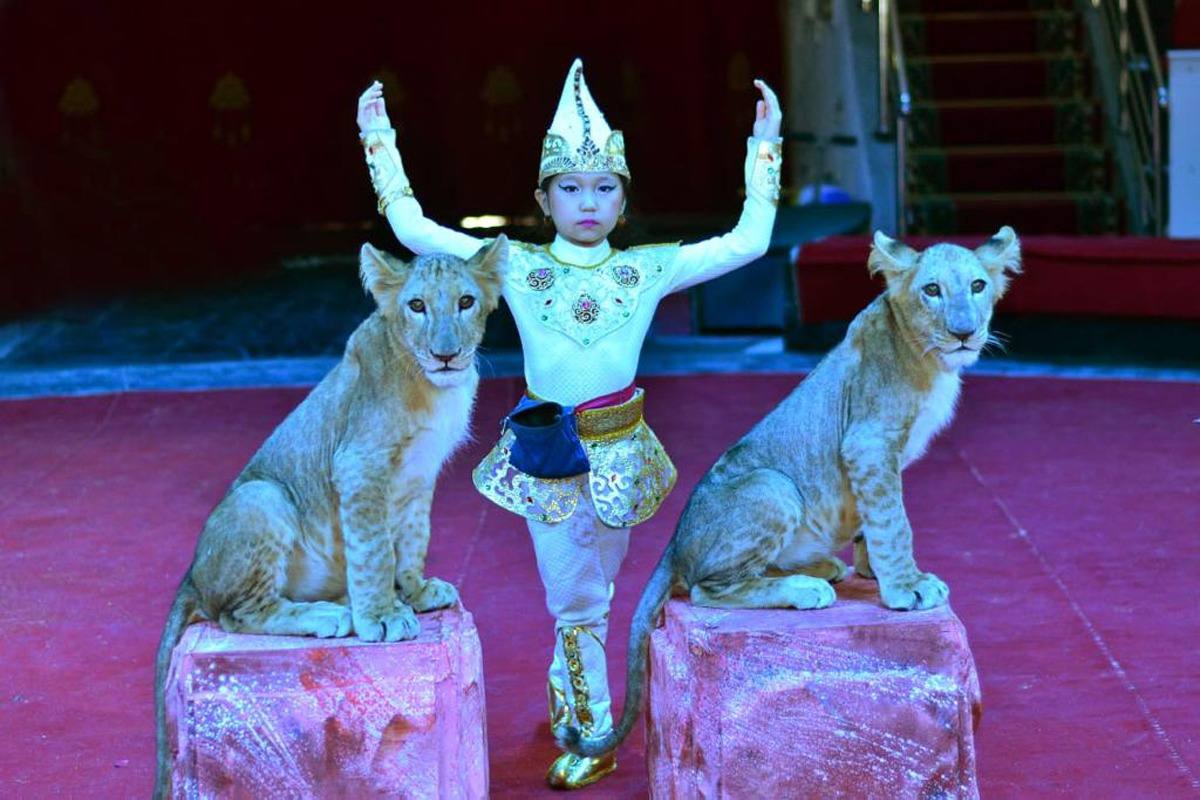 Шұлық киген жалаңаш ханымдар